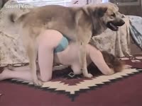 Beastiality Porn Movie - Big brown pooch taught to fuck a twat